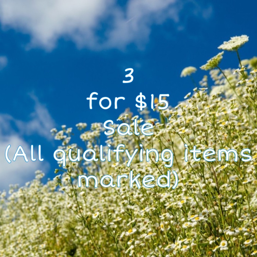 3 for $15 Sale